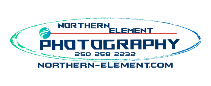Northern Element Photography logo